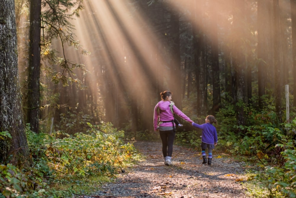 Parenting Process for Your Child’s Success